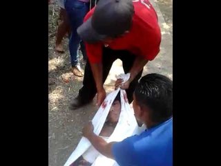 #SucesosCri Mujer resulta herida al caer de un árbol en asentamiento de Panamá Oeste