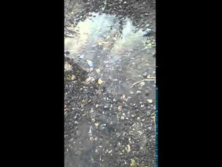 #WhatsAppCri Una tuberia rota botando.agua desde hace meses, en Las Mañanitas. @idaaninforma