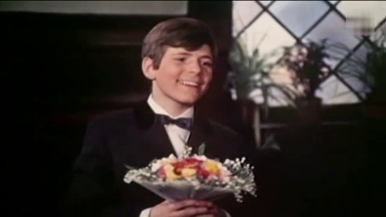 Heintje - Schwalbenlied