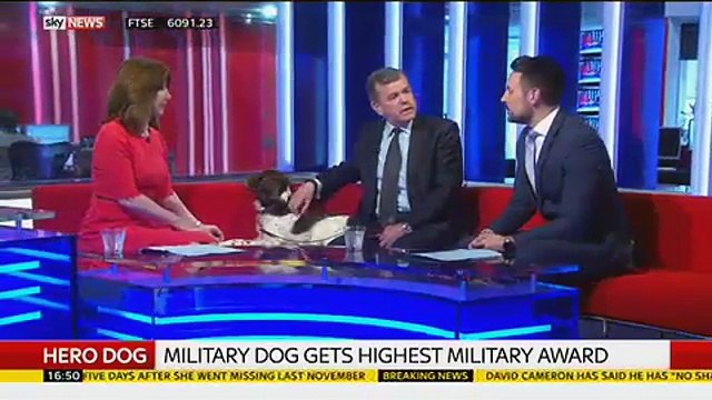 Sky News_ Kay Burley meets former police dog Cally 5Apr16