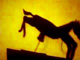 automata WILD  horse ride. caw boy western horse
