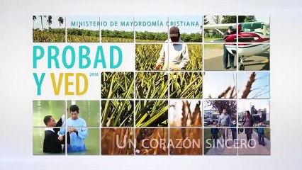 Reflexiones Cristianas "Un corazón sincero"
