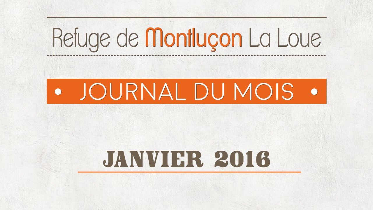 Un mois au refuge : janvier 2016