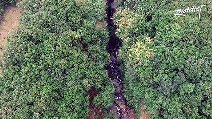 Short Clips Party (720p)