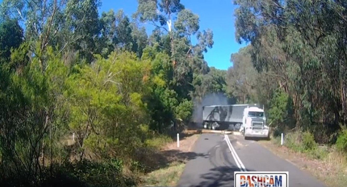 Le freinage d'urgence d'un camion pour éviter un arbre sur la route