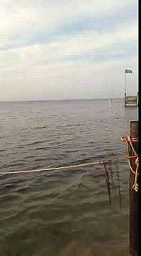 Policías cubanos balseros llegan a los Estados Unidos