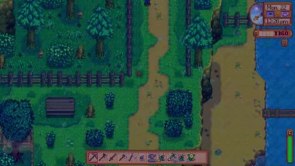 Stardew Valley clip4