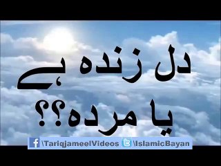 Molana Tariq Jameel Best Videos Daily (3)