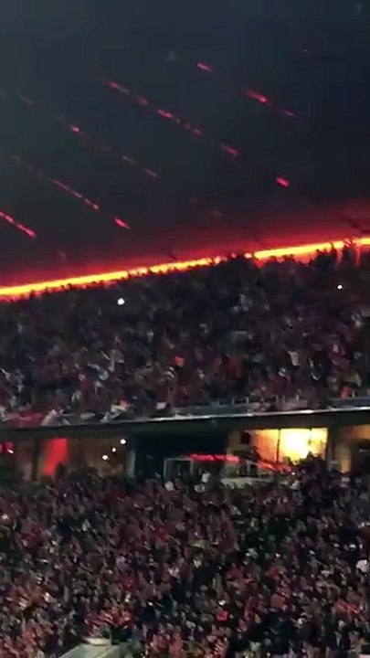 Loucura Benfiquista