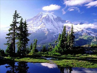 Frédéric Chopin &  Nocturne