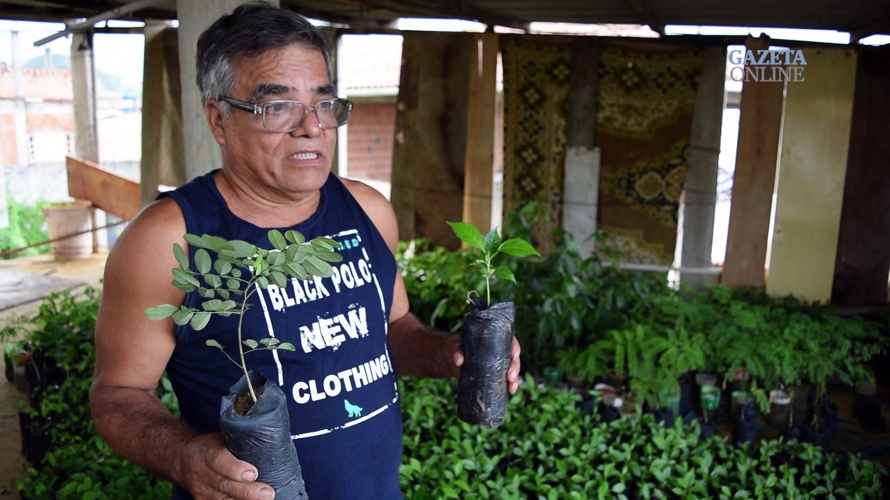 "Criador de árvores" quer doar mais de duas mil mudas para reflorestar margens do Rio Jucu