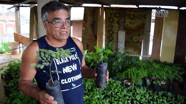 Criador de árvores quer doar mais de duas mil mudas para reflorestar margens do Rio Jucu