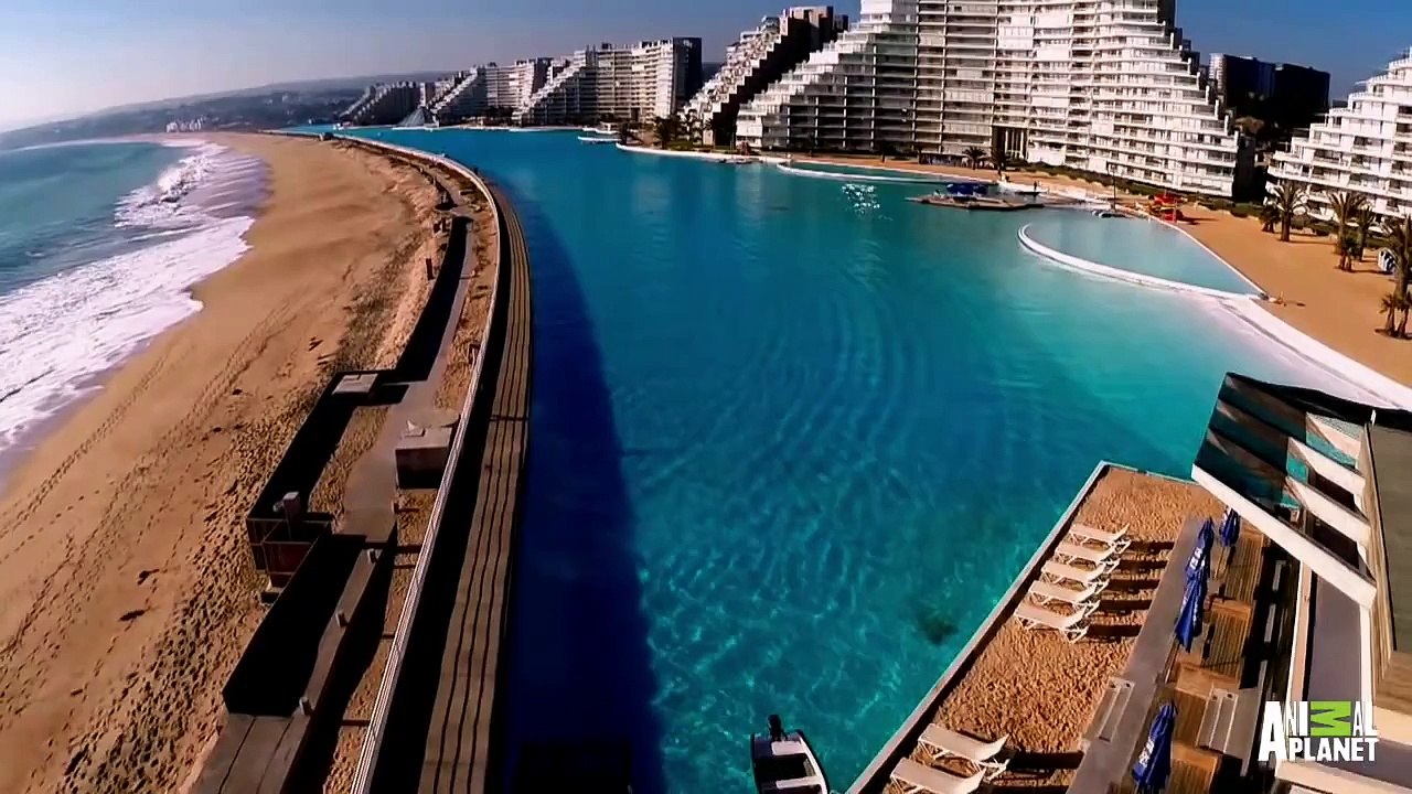 Ecco A Voi La Piscina Più Grande Del Mondo… Si Trova In Cile Questa Meraviglia!!!