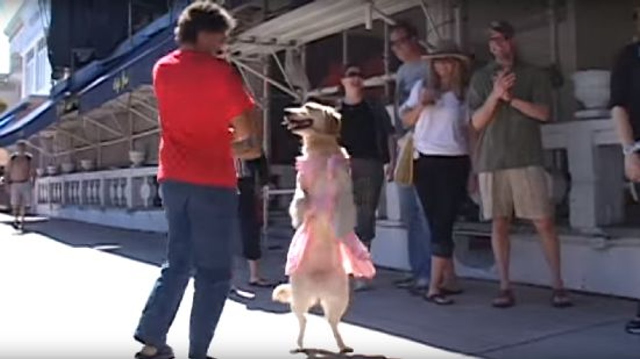 When Your Dance Partner Has The Moves But Is A Bit Of A Dog