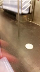 Subway Rat Crawls on Sleeping Man, Nightmares Ensue