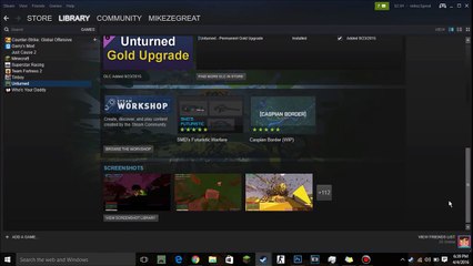 How to make an Unturned 3.0 Server