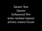 mawra hocane upcoming bollywood film sanam tere kasam