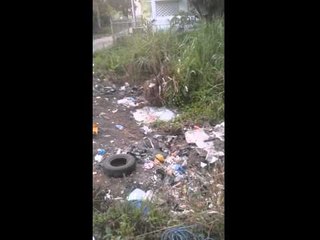 #WhatsAppCri Llegaron a recoger la basura y rompieron una tubería madre.