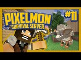 Pixelmon Survival Server (Minecraft Pokemon Mod) Lets Play Ep.11 Arcanine!