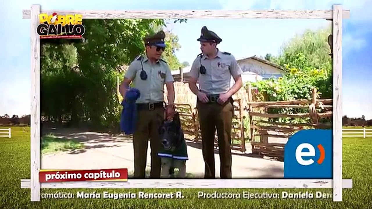 63 Avance Pobre Gallo