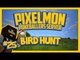 Pixelmon Server (Minecraft Pokemon Mod) Pokeballers Lets Play Season 2 Ep.25 Bird Hunt!