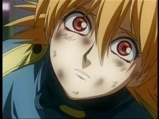 IRON MAIDEN ( hellsing ) the end no more lies