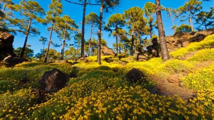 Doğanın Harika Görüntüleri