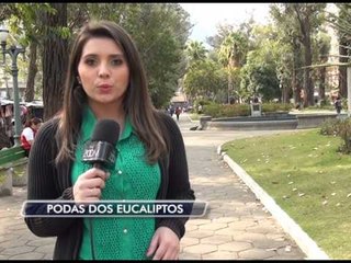 29-09-2014 - EUCALIPTOS - ZOOM TV JORNAL