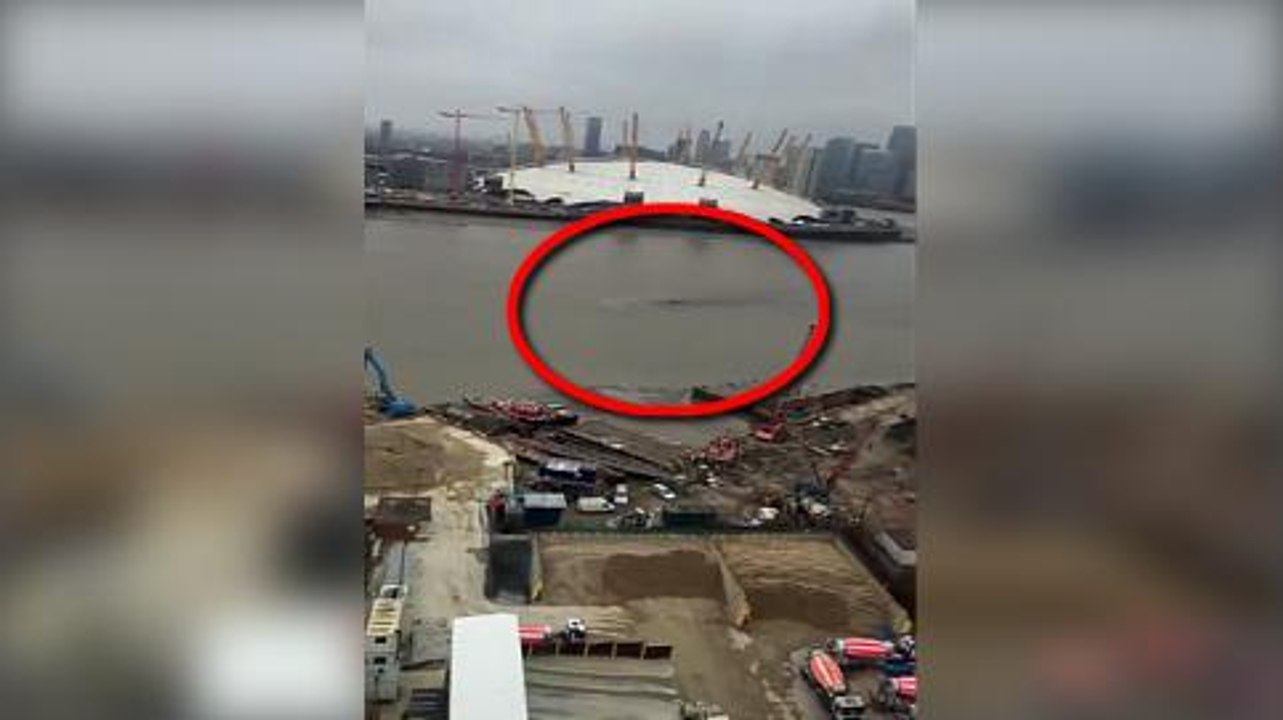 ¿terrorífica criatura es filmada en Londres?