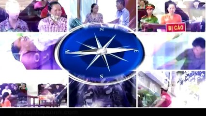 Ký sự pháp đình : Đánh mất lương tri