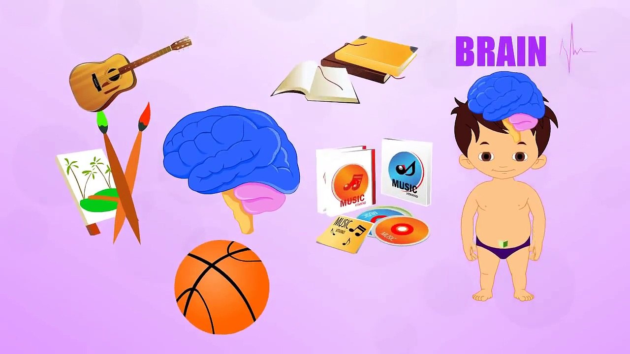 Brain - Human Body Parts - Pre School Know Your Body - Animated Videos For Kids