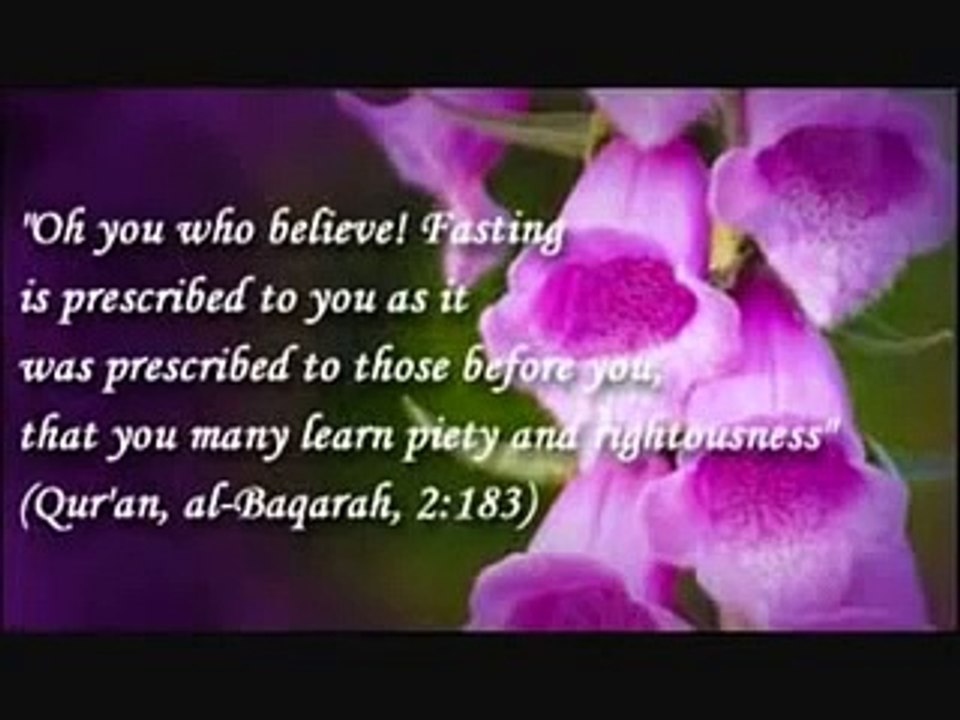 Beautiful Naat Mein To Ashiq Hu Nabi Ka