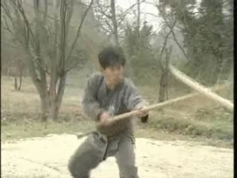 Masaaki hatsumi-bojutsu-part-2