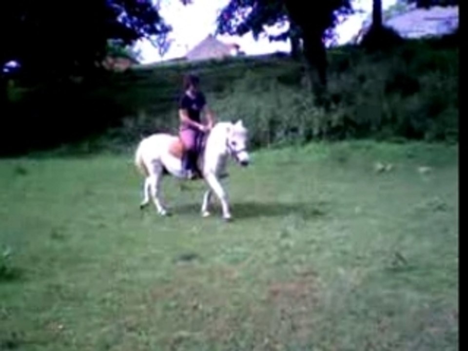 Prince (ji voi rien)