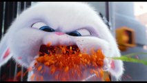 THE SECRET LIFE OF PETS - Official Trailer #3 (2016) Animated Comedy Movie HD