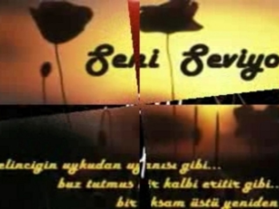 Sen hic asik oldun mu