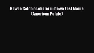Read How to Catch a Lobster in Down East Maine (American Palate) Ebook Free