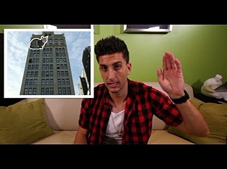 CAT FALLS OUT WINDOW PRANK