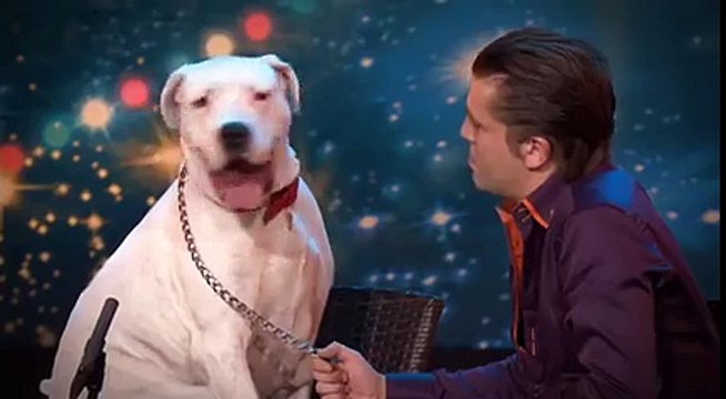 You Won't Believe What This Dog Does When It Hears A Whitney Houston Song. Amazing!