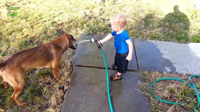 Dogs and Babies Playing with Hoses Compilation 2016