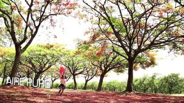 Alimentos integrales - Salud con Esperanza - Iglesia Adventista