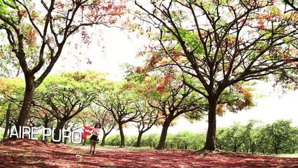 Grasa abdominal - Salud con Esperanza - Iglesia Adventista