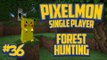 Pixelmon (Minecraft Pokemon Mod) Single Player Ep.36 Forest Hunting!