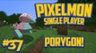 Pixelmon (Minecraft Pokemon Mod) Single Player Ep.37 PORYGON!