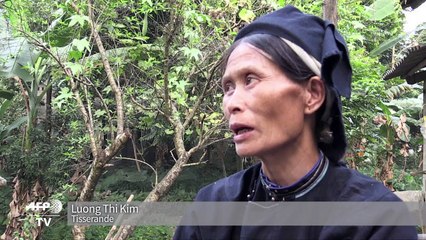 Le Vietnam veut tirer son épingle du jeu de la mode ethnique