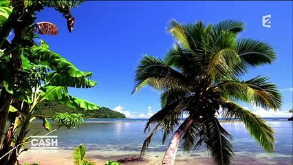 Panama - France 2 met en cause l'ancien directeur de sa propre régie publicitaire dans "Cash Investigation"