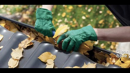Gutter Cleaning Service