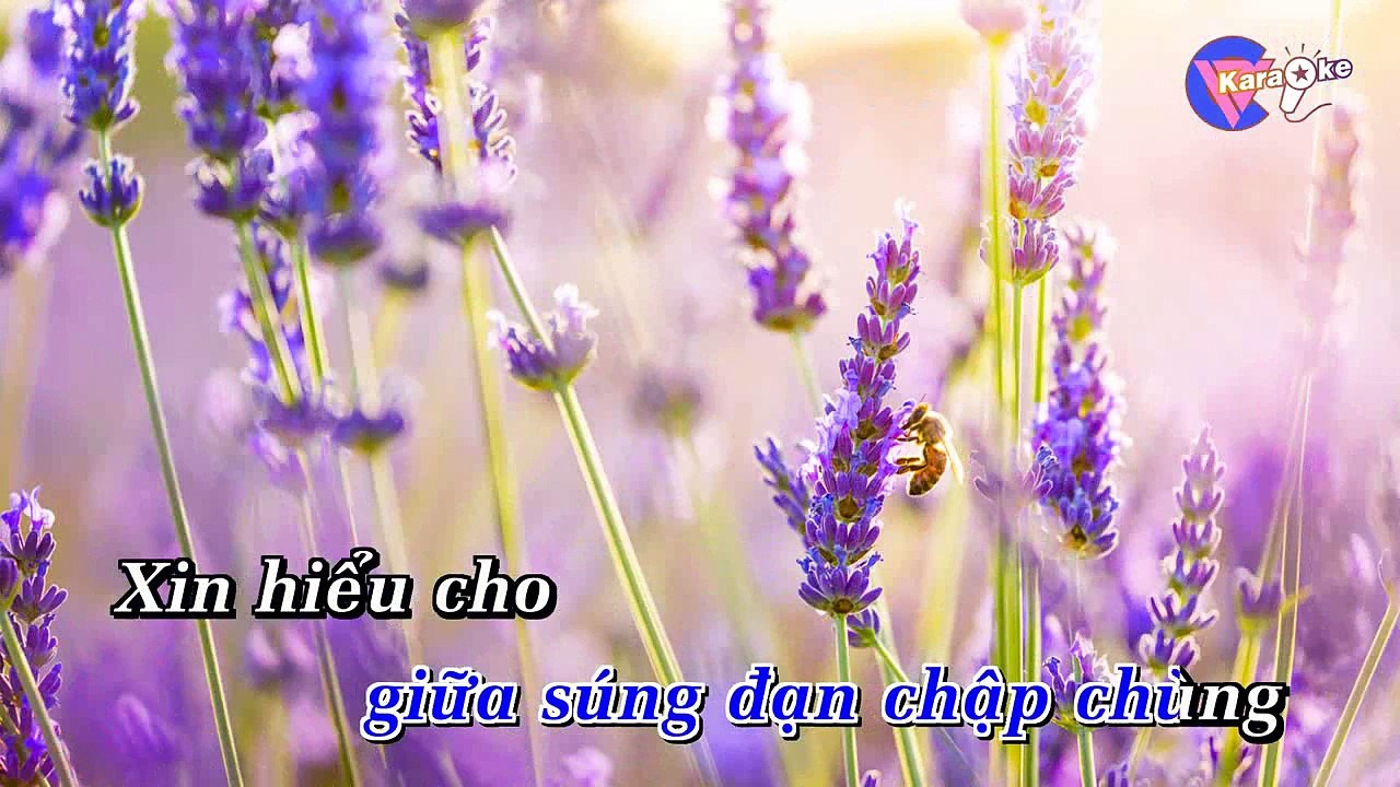 karaoke HD, Nhạc Trữ Tình Chọn Lọc   Cho Người Vào Cuộc Chiến