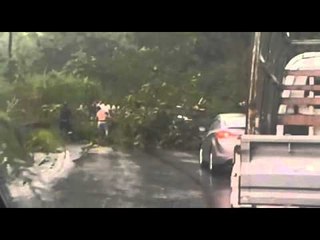 Cae árbol en carretera que conduce a Kuna Nega