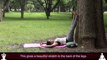 Yoga Exercises Poses For Relieve Stress
